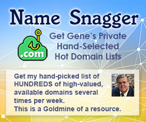 NameSnagger.com